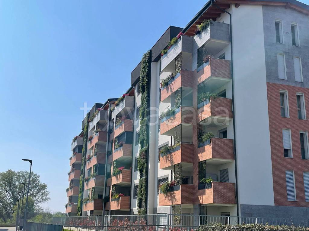 immagine annuncio 8 di 11