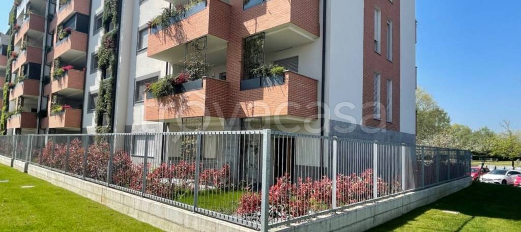 immagine annuncio 2 di 11