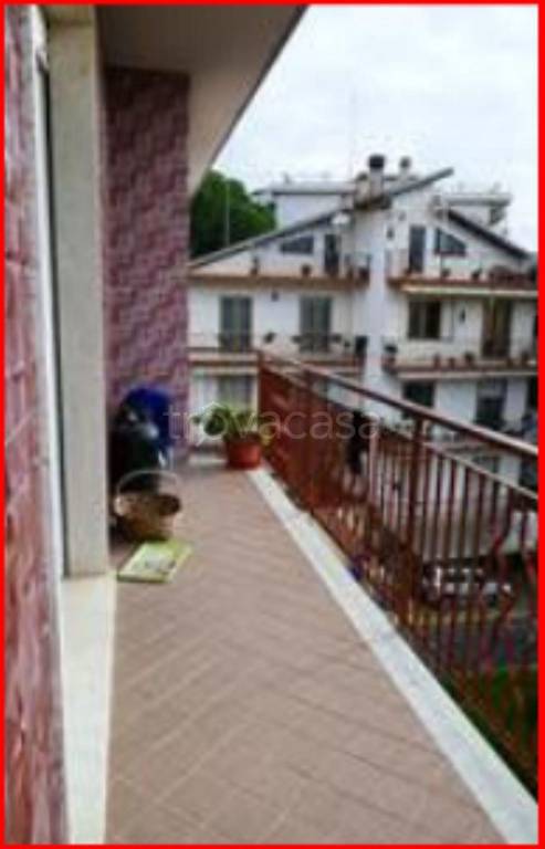 immagine annuncio 7 di 12