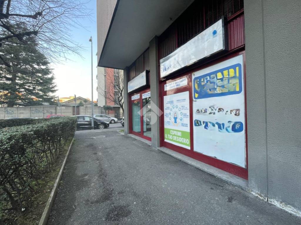 immagine annuncio 11 di 15