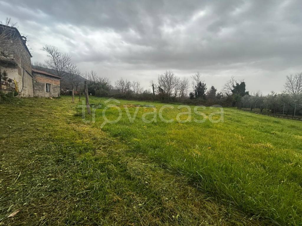 immagine annuncio 3 di 9