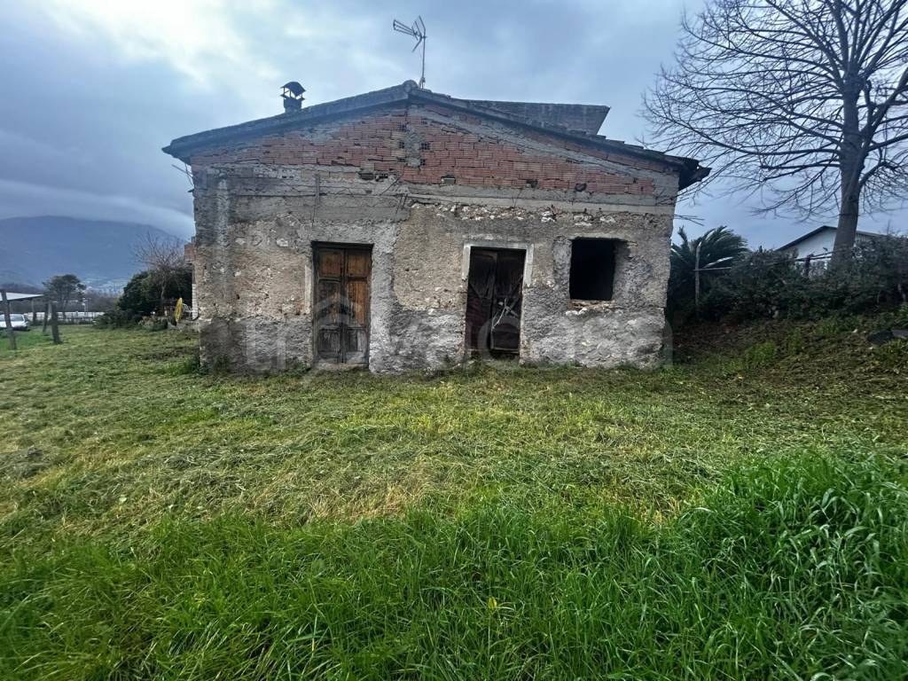 immagine annuncio 1 di 9