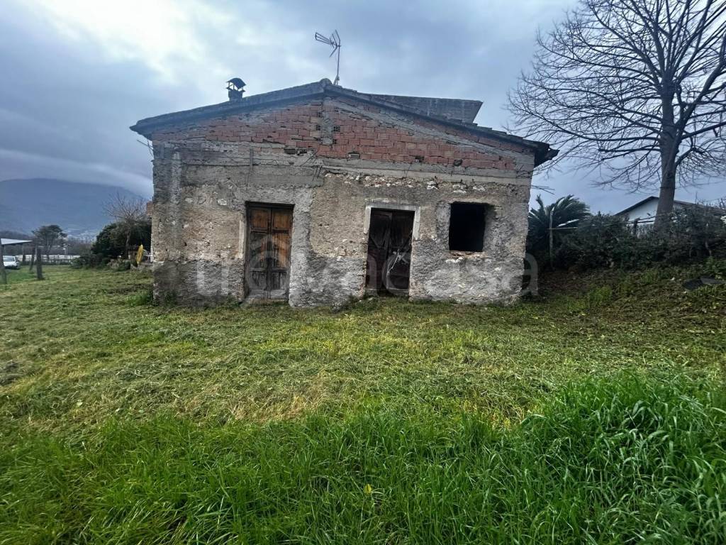 immagine annuncio 1 di 9