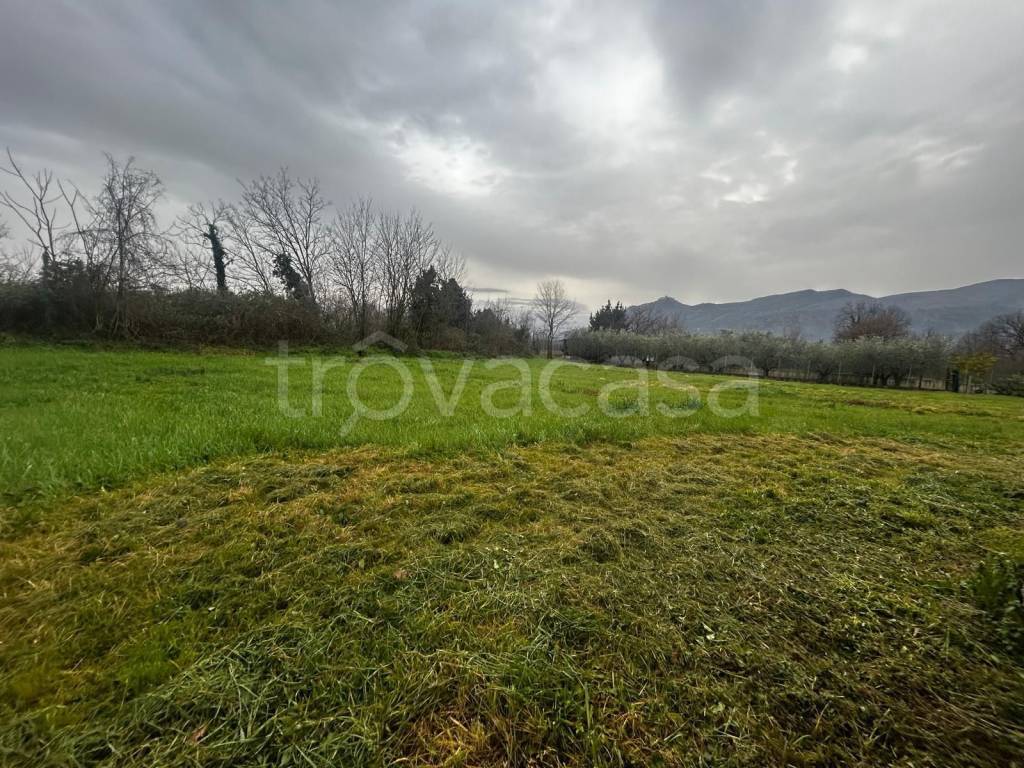 immagine annuncio 4 di 9