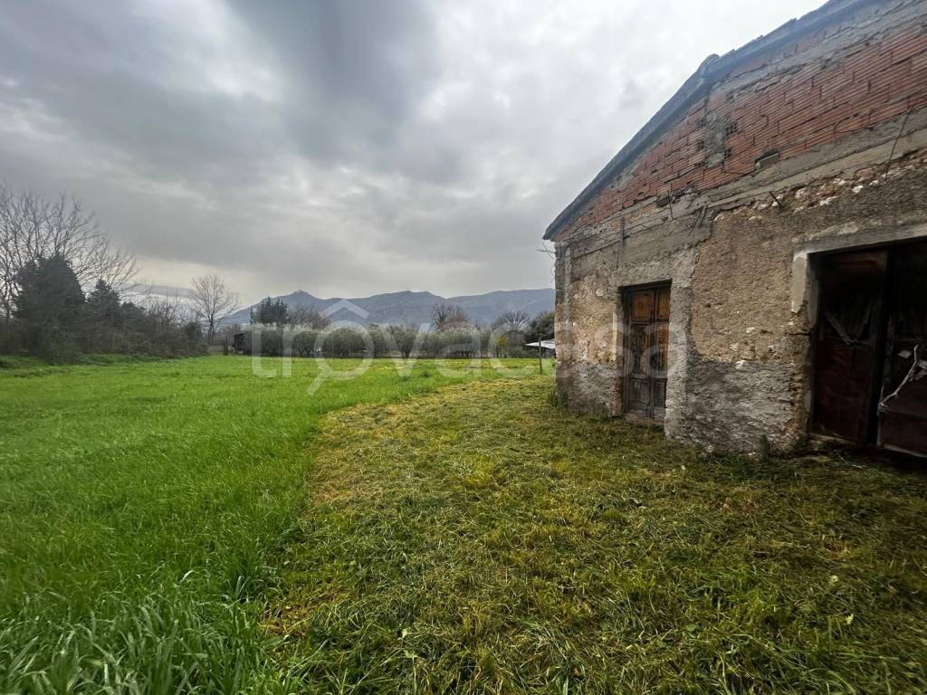 immagine annuncio 7 di 9