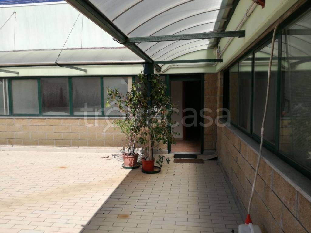 immagine annuncio 4 di 12