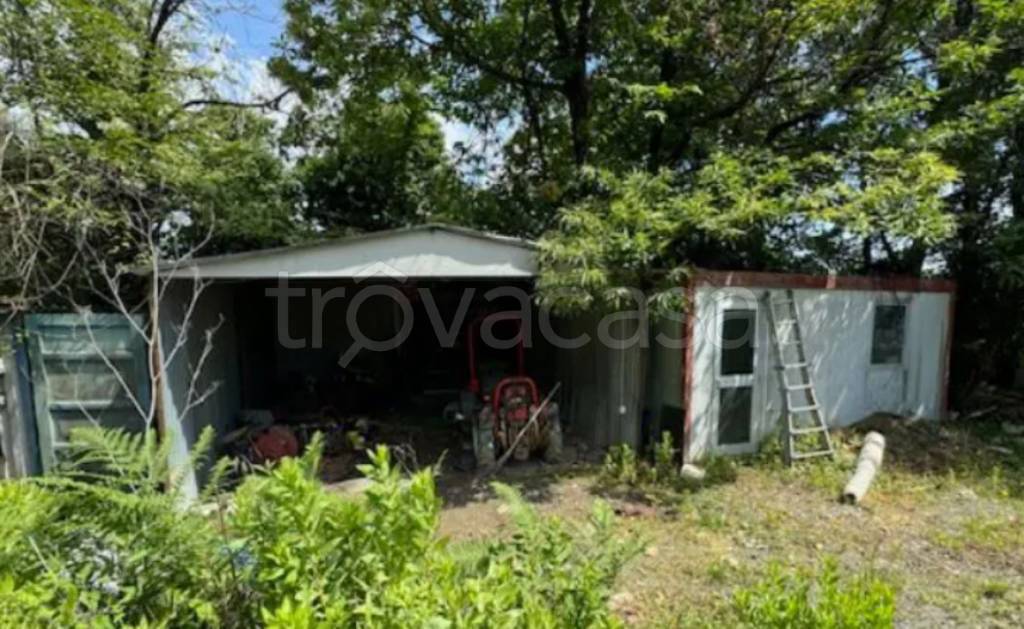 immagine annuncio 2 di 11