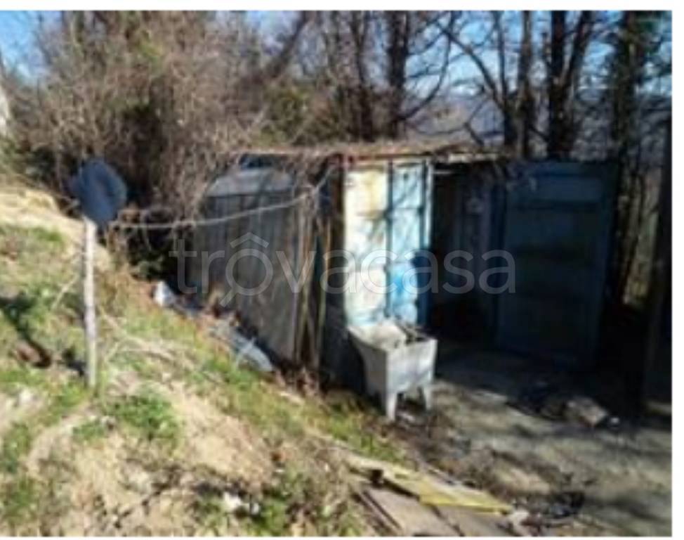 immagine annuncio 9 di 11