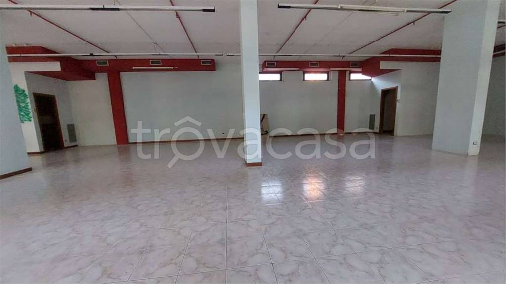 immagine annuncio 9 di 14