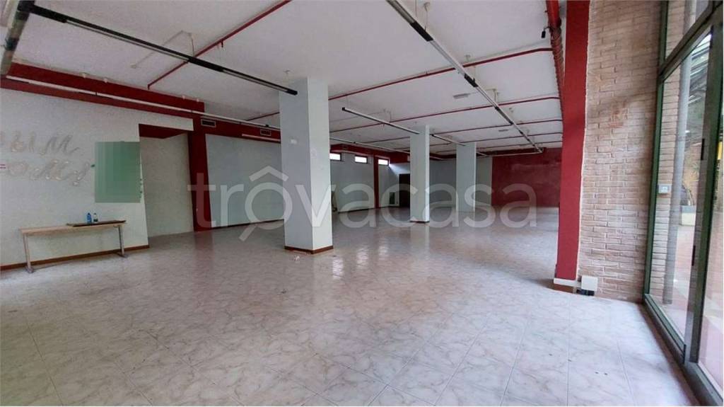 immagine annuncio 10 di 14