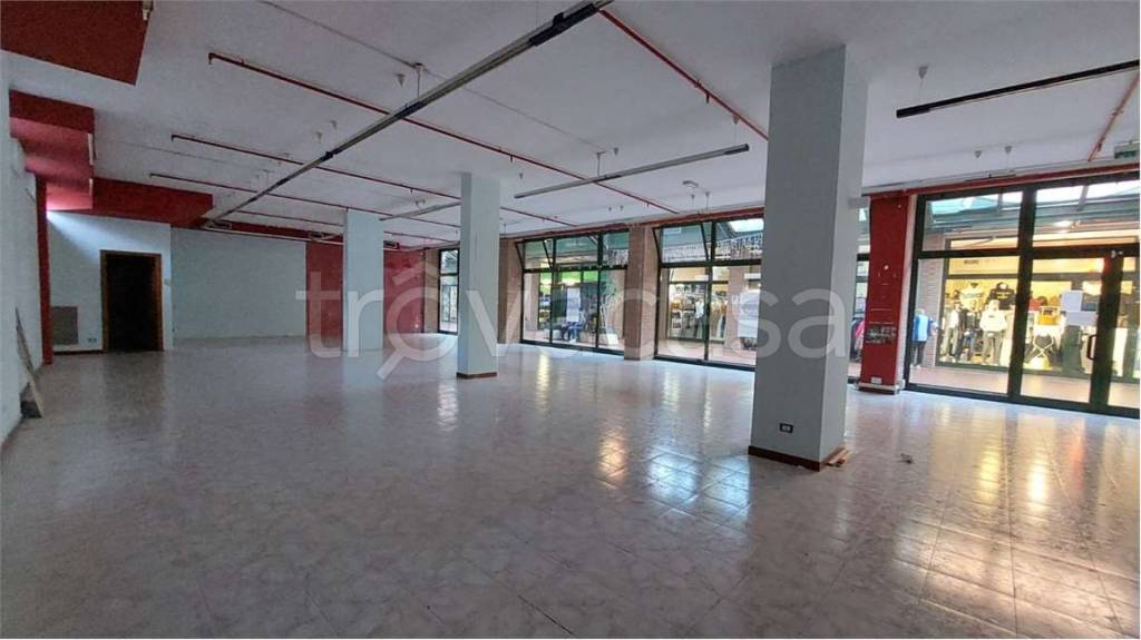 immagine annuncio 11 di 14