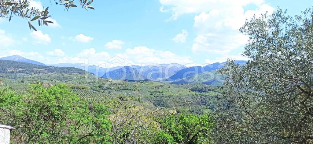 immagine annuncio 11 di 14