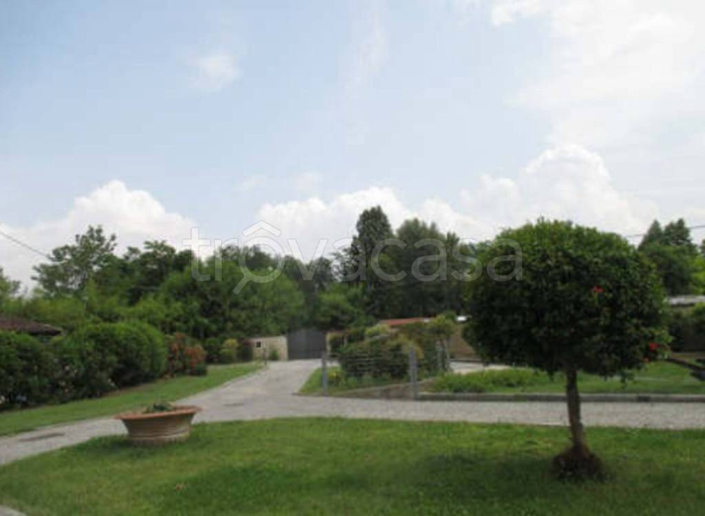 immagine annuncio 6 di 11