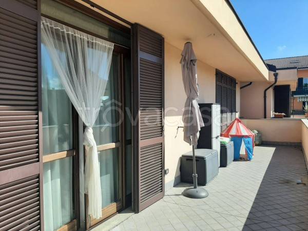 immagine annuncio 1 di 14