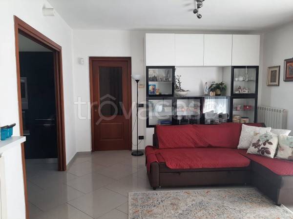 immagine annuncio 5 di 14