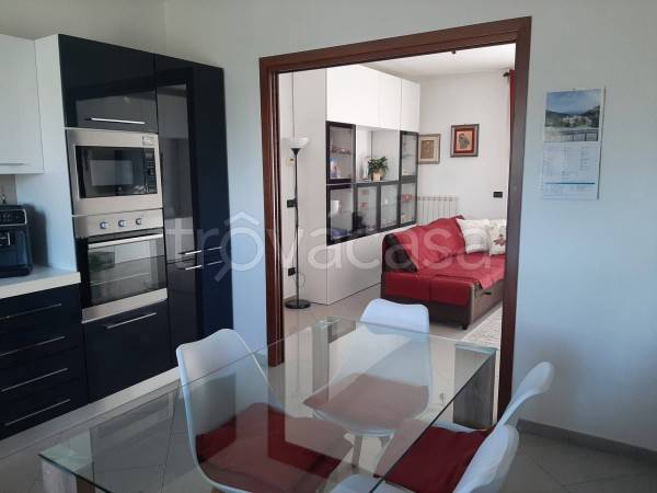 immagine annuncio 11 di 14