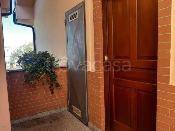 immagine annuncio 12 di 14