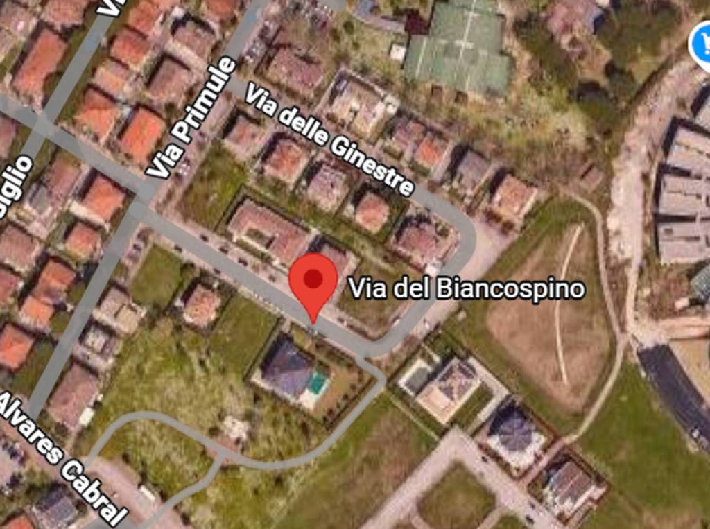 immagine annuncio 6 di 11