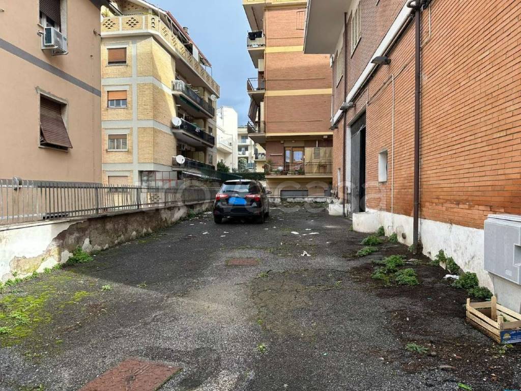 immagine annuncio 12 di 13