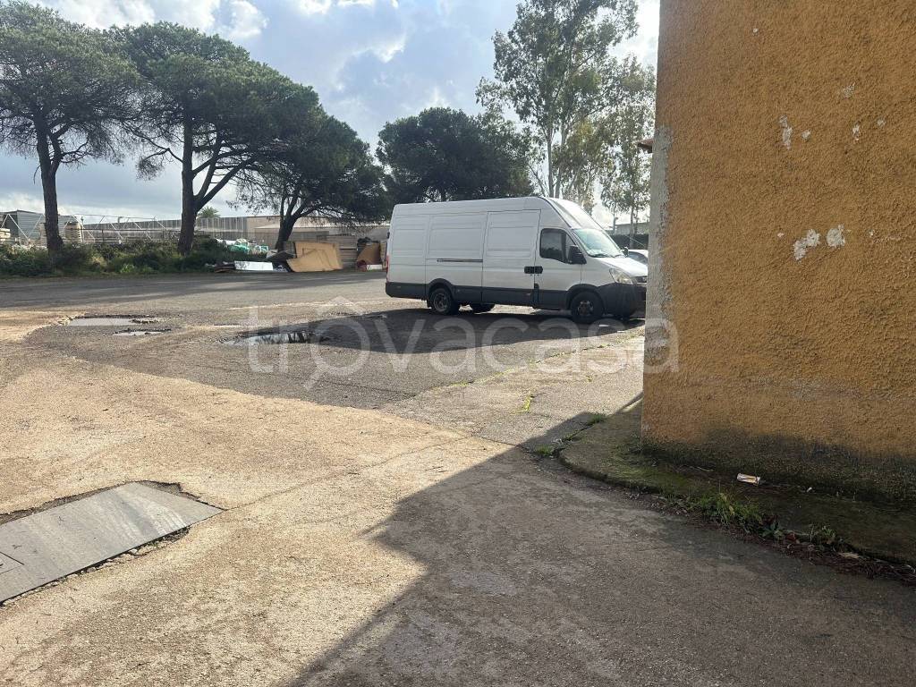 immagine annuncio 4 di 7