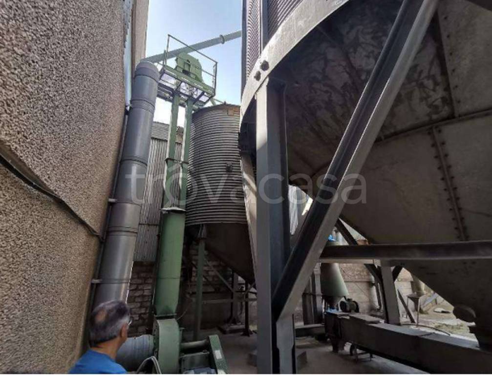 immagine annuncio 9 di 12