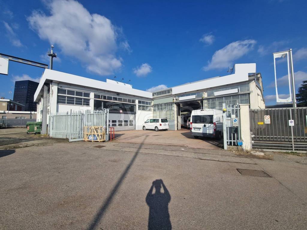 immagine annuncio 1 di 15