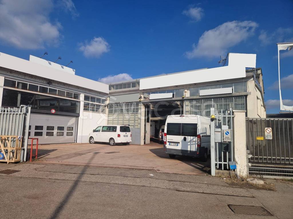 immagine annuncio 14 di 15