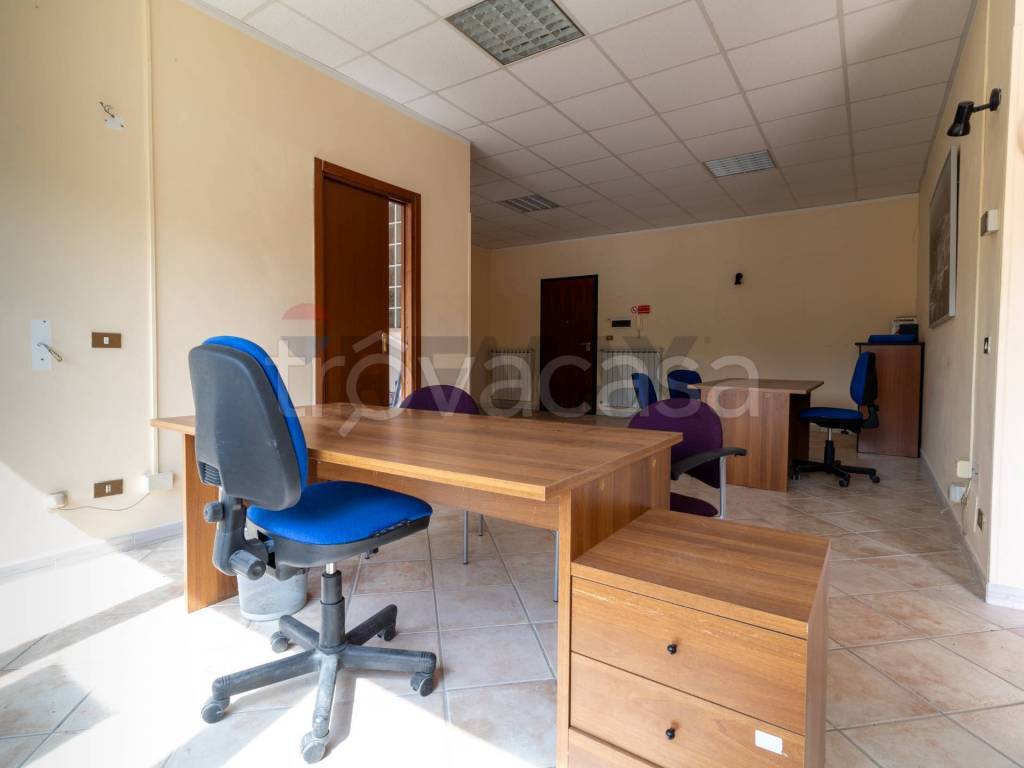 immagine annuncio 4 di 14