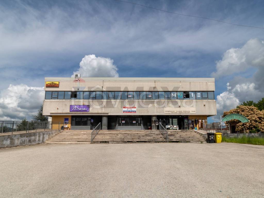 immagine annuncio 12 di 14