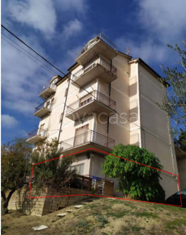 immagine annuncio 3 di 11