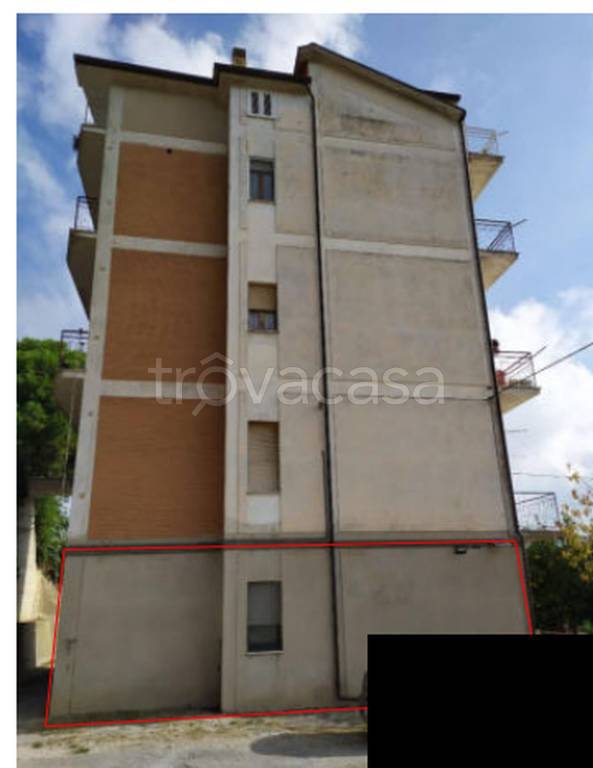 immagine annuncio 4 di 11