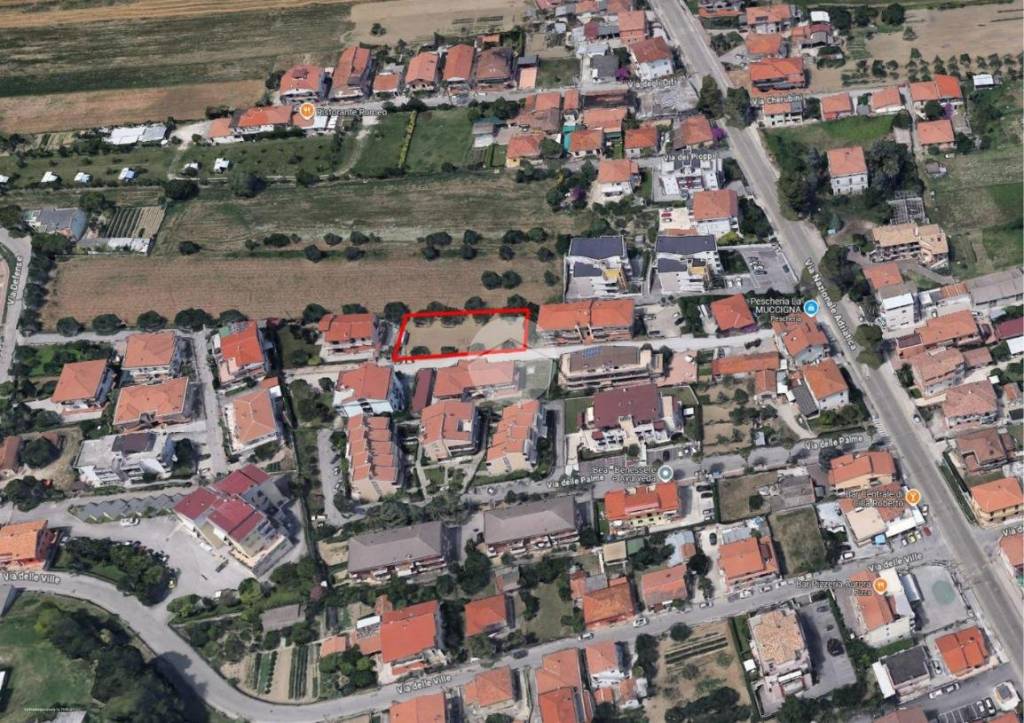 immagine annuncio 4 di 8