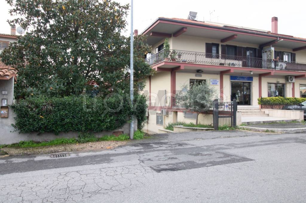 immagine annuncio 3 di 6