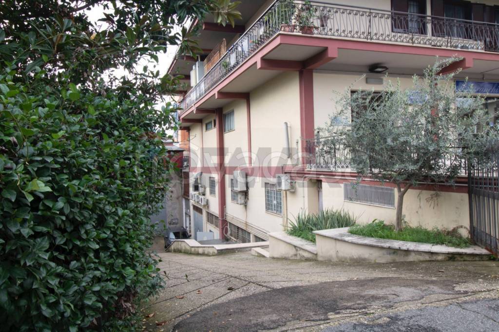 immagine annuncio 4 di 6