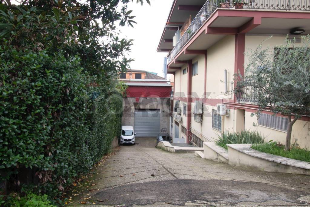 immagine annuncio 5 di 6