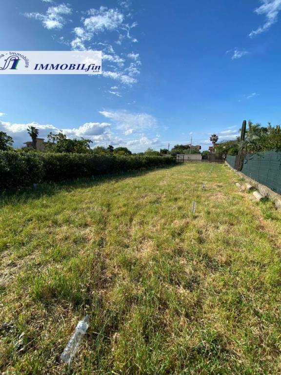 immagine annuncio 3 di 11