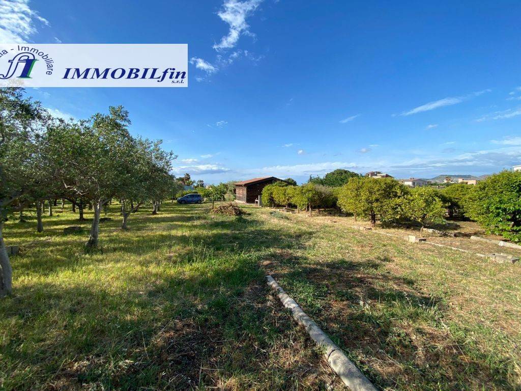 immagine annuncio 8 di 11