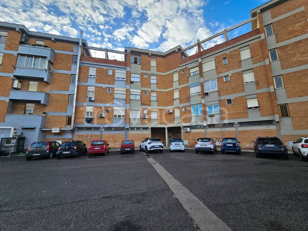 immagine annuncio 11 di 14