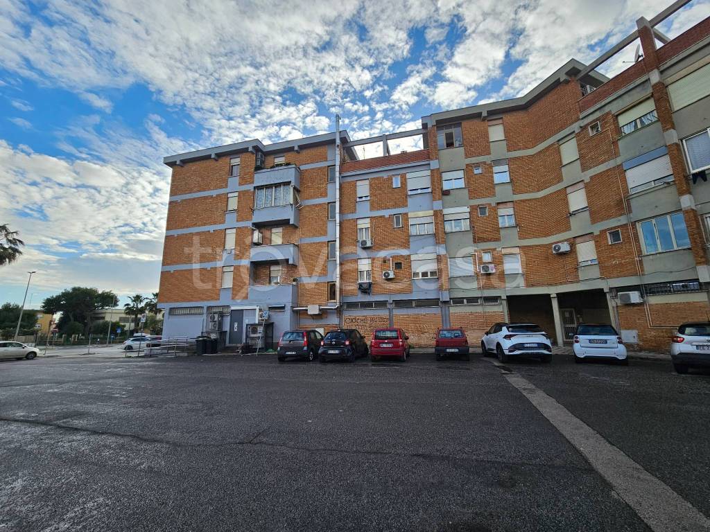 immagine annuncio 12 di 14