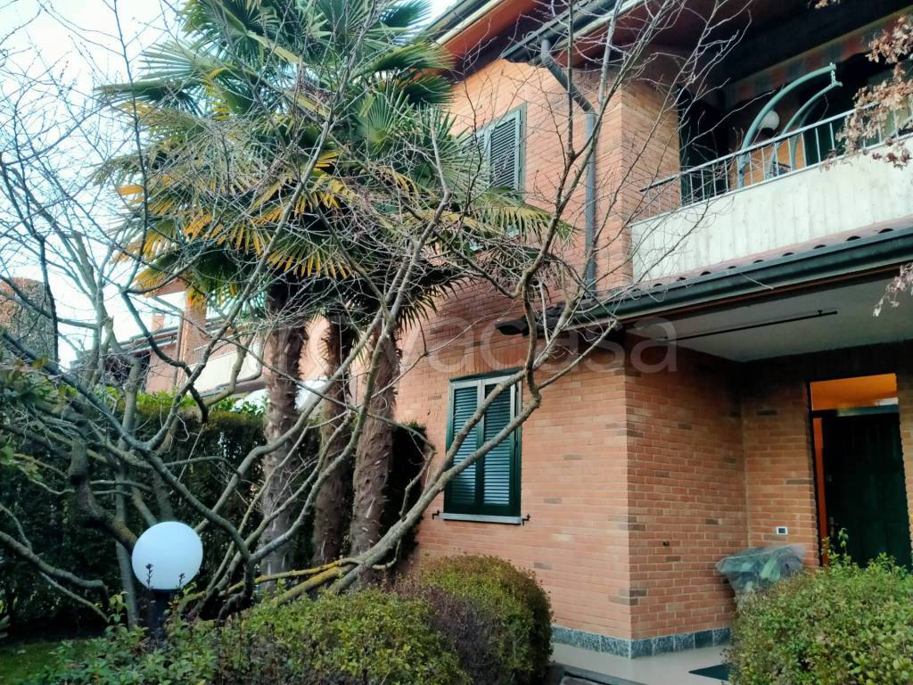 immagine annuncio 3 di 15