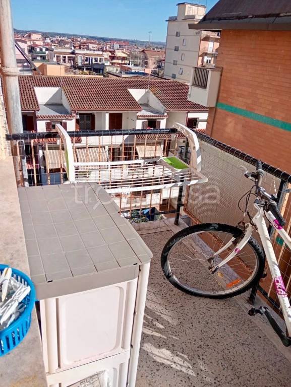 immagine annuncio 11 di 13