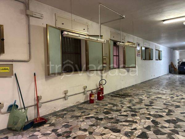 immagine annuncio 2 di 9