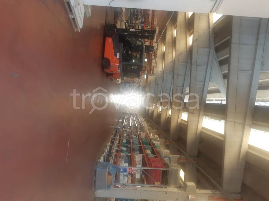 immagine annuncio 5 di 9