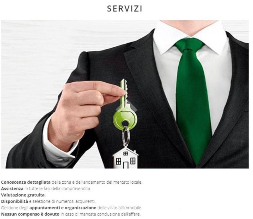 immagine annuncio 4 di 11