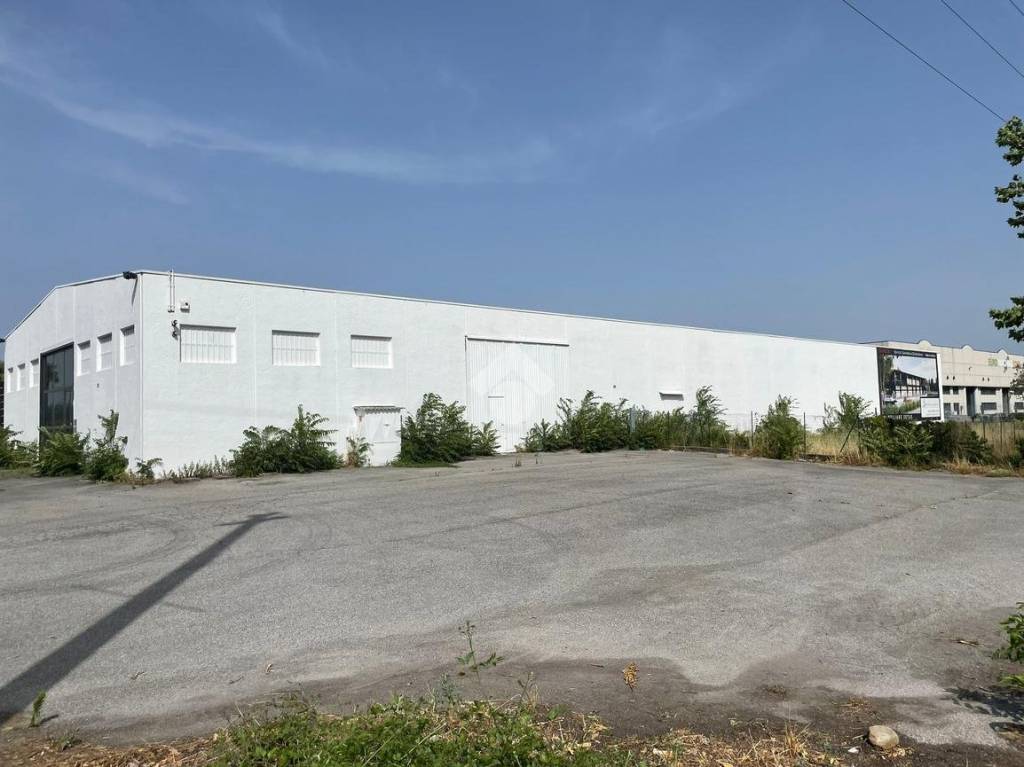 immagine annuncio 10 di 15