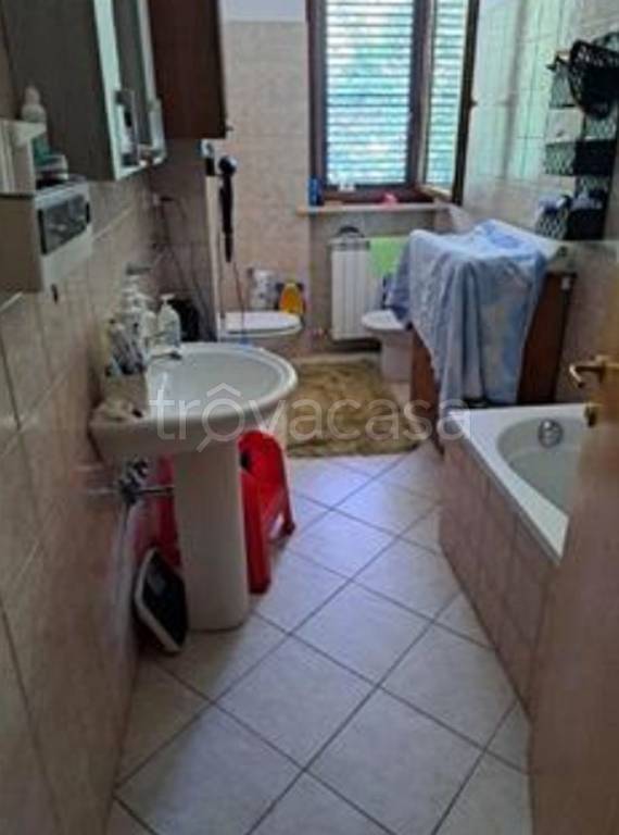 immagine annuncio 12 di 14