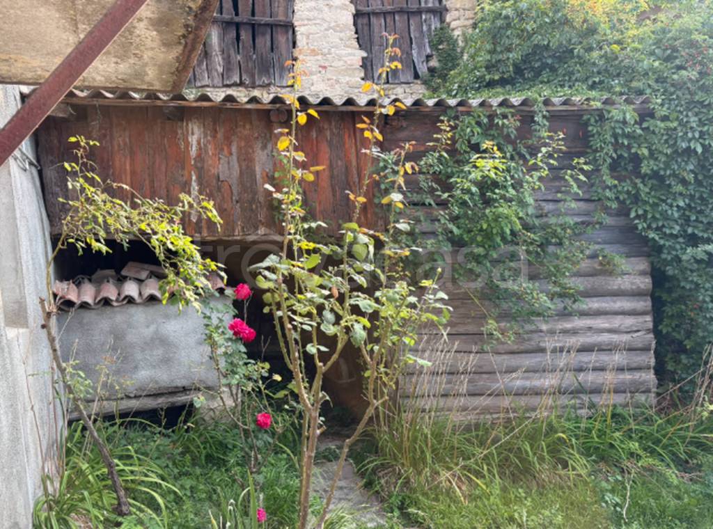 immagine annuncio 10 di 13