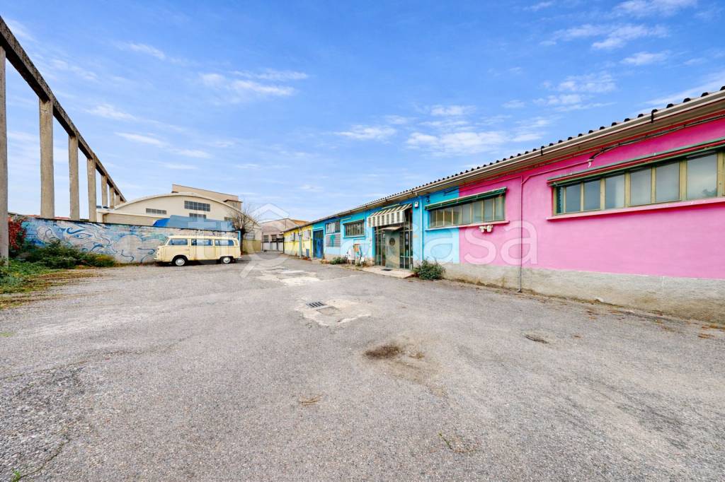 immagine annuncio 1 di 15