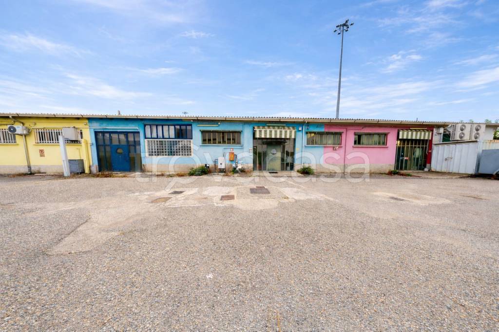 immagine annuncio 2 di 15