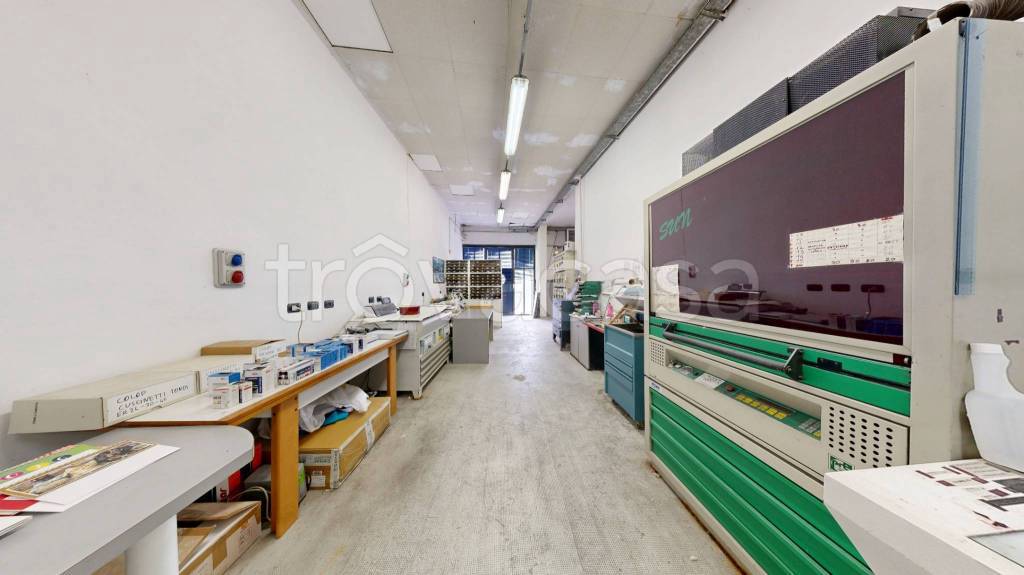 immagine annuncio 9 di 15